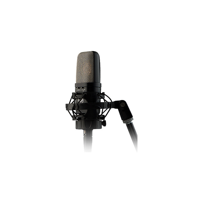 Микрофон студийный Warm Audio WA-14 Black - рис.2