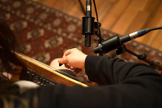 Микрофон инструментальный Antelope Audio Edge Note - рис.4