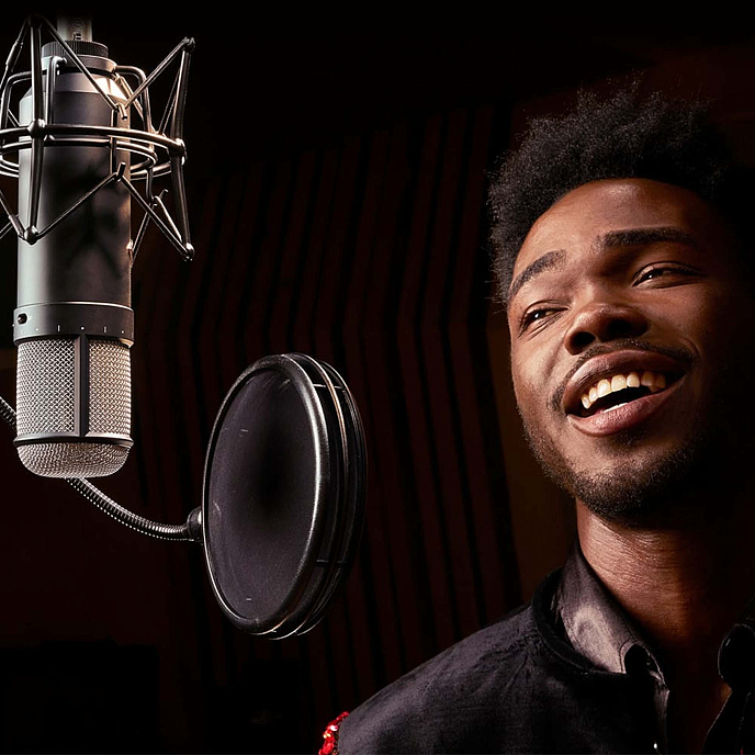 Микрофон студийный Universal Audio UA Sphere DLX Black - рис.11