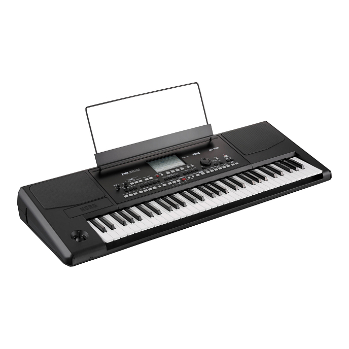 Синтезатор Korg Pa300 - рис.3
