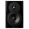 Dynaudio LYD-5