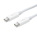 Кабель Apple Thunderbolt 0.5m White - рис.1