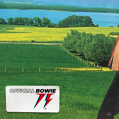 Виниловая пластинка David Bowie – Earthling - 2LP