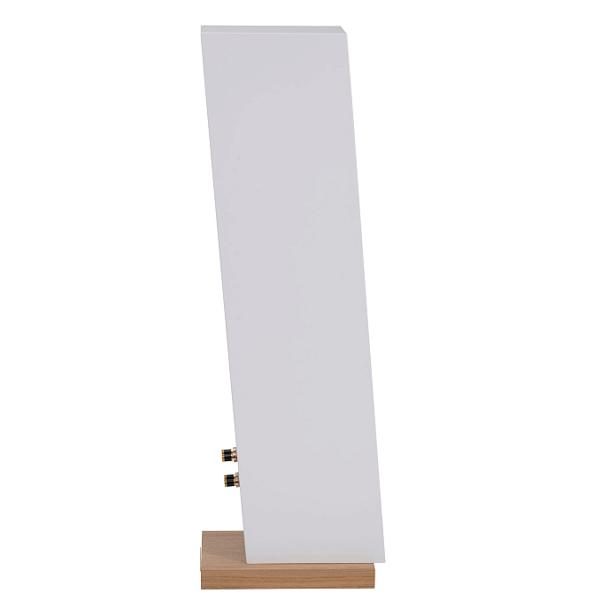 Напольная акустика Davis Acoustics Courbet N 5 White Matte - рис.8