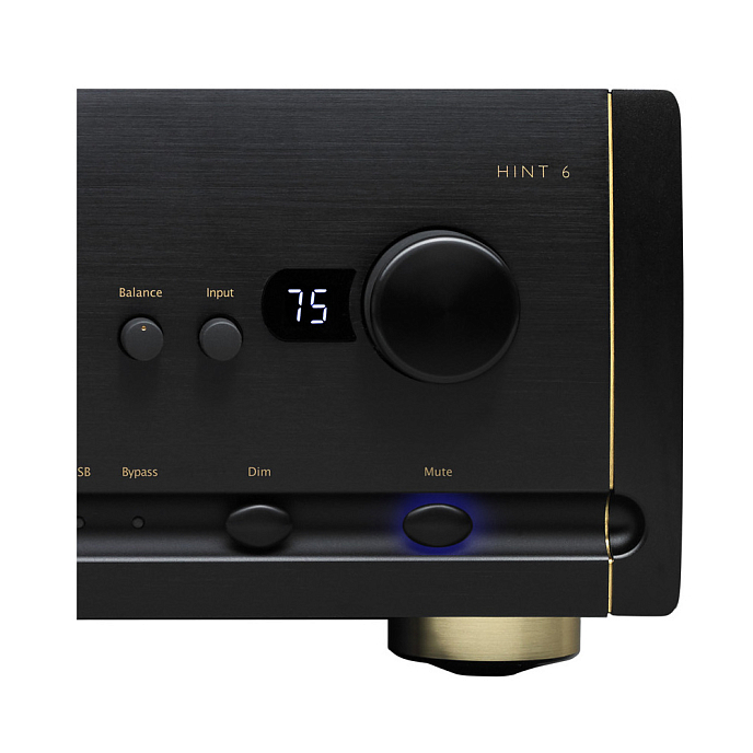 Интегральный усилитель Parasound HINT 6 Black - рис.4