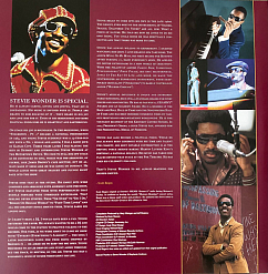 Виниловая пластинка Stevie Wonder – The Definitive Collection 2LP