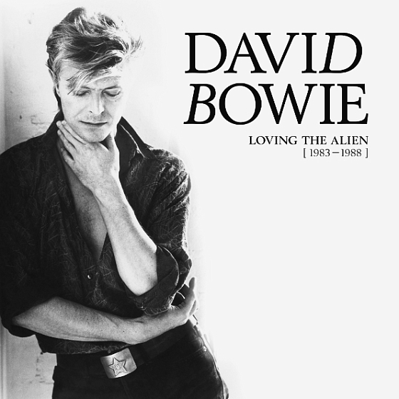 Пластинка David Bowie - Loving The Alien 1983-1988 15LP - рис.0