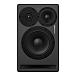 Студийный монитор Dynaudio Core 47 R Black - рис.2