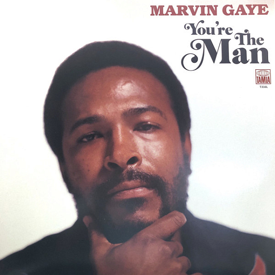 Пластинка Marvin Gaye - You're The Man - рис.0