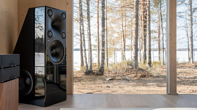 Напольная акустика Genelec 8381A Piano Black - рис.5