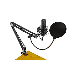 Микрофон для стриминга и игр Ritmix RDM-169 USB Black