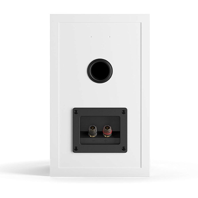 Полочная акустика Dali Spektor 2 White - рис.4