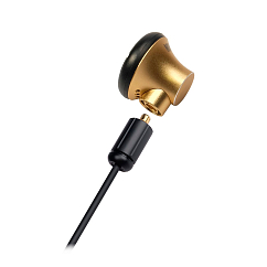 Наушники внутриканальные Nobunaga Labs Uguisu Type-C Gold