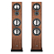 Canton Townus 100 Walnut