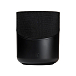 Беспроводная акустика Bluesound Pulse M Black - рис.0