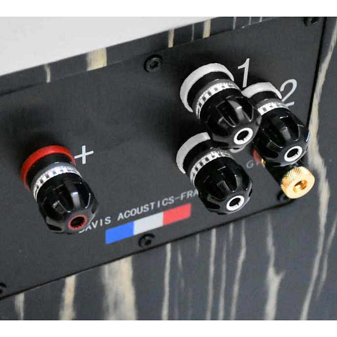 Напольная акустика Davis Acoustics MV One Master Ebony - рис.12