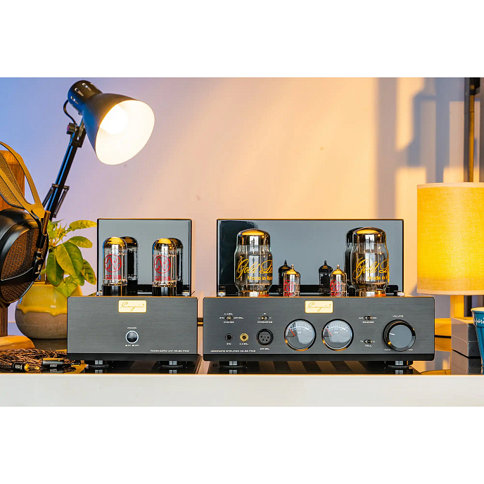 Усилитель для наушников Cayin HA-6A MK2 Black - рис.4