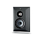Focal Chora Surround