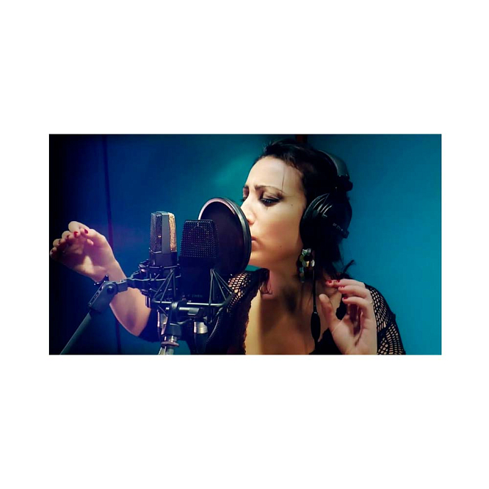 Микрофон студийный SE Electronics SE4400AST - рис.8