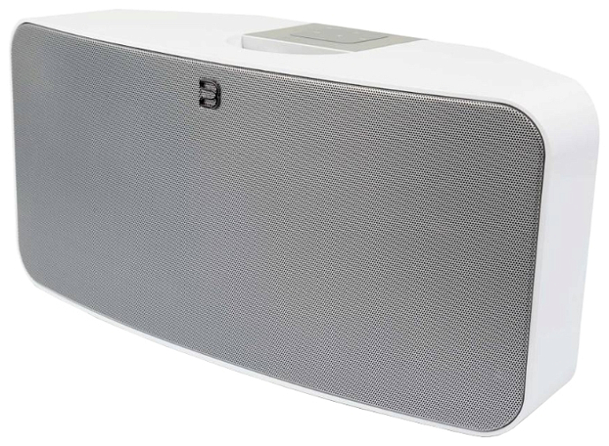 Портативная колонка Bluesound Pulse P300 Gloss Black - рис.1