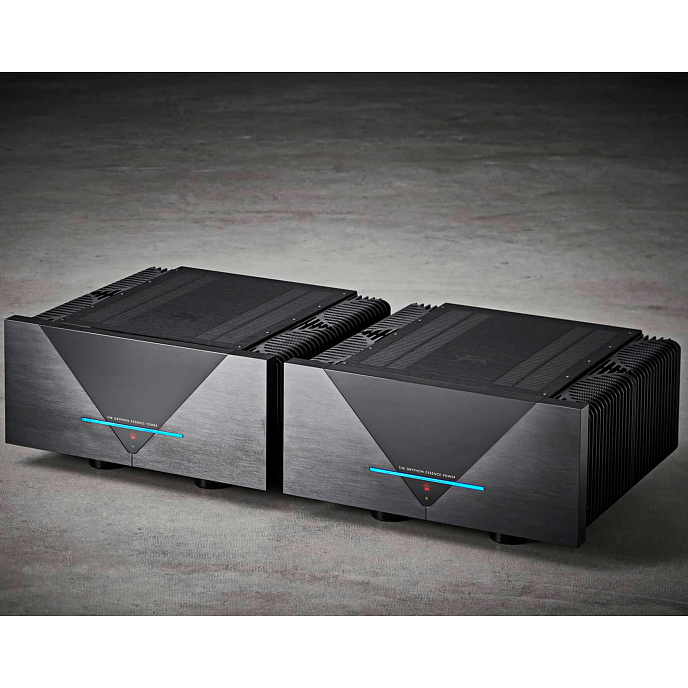 Усилитель мощности Gryphon Essence Mono Black - рис.3