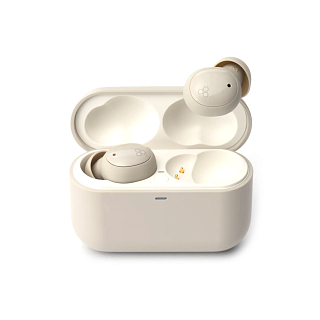 Final Audio ZE500 for ASMR Dark Cream