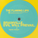 Виниловая пластинка The Flaming Lips - Brainville - рис.2