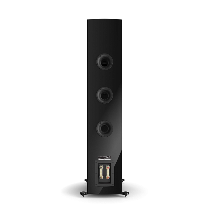 Полочная акустика Dali Rubikore 8 Black High Gloss - рис.6