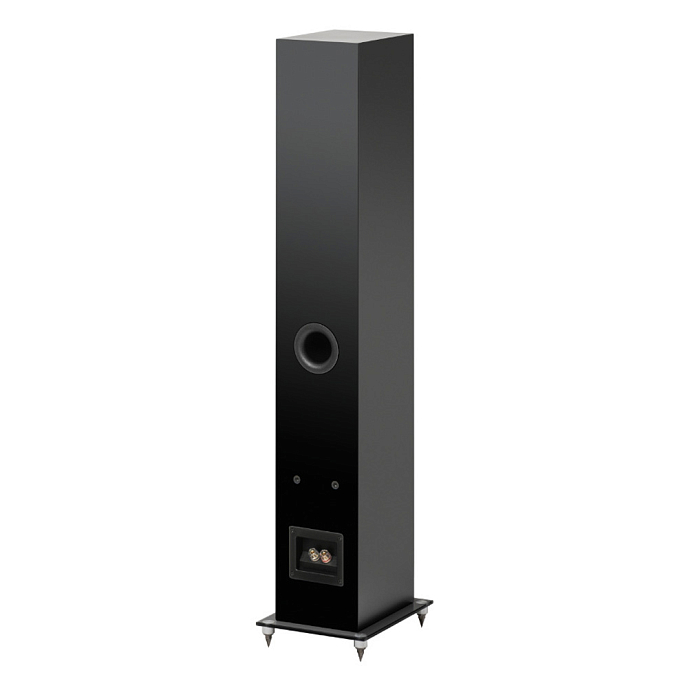 Напольная акустика Pro-Ject Speaker Box 10 E Carbon Satin Black - рис.1
