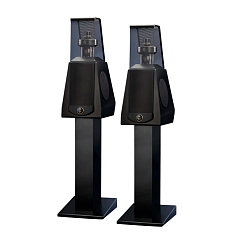 Полочная акустика MBL 126 (w/o stand) Satin Black Gold