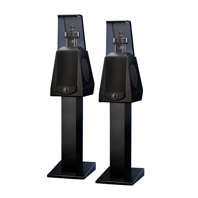 Полочная акустика MBL 126 (w/o stand) Satin Black Gold - рис.1