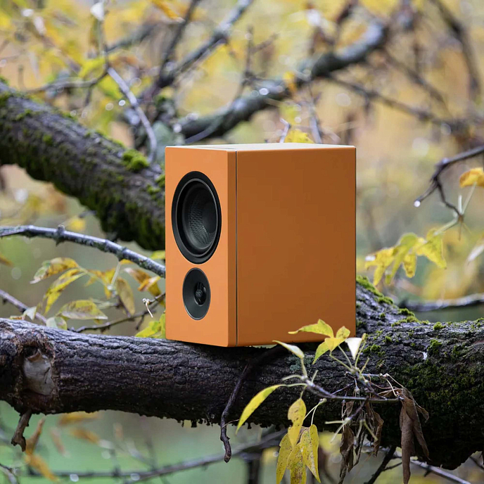 Полочная акустика PSB Alpha iQ Orange - рис.6