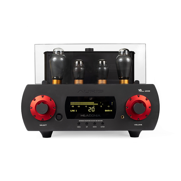 Усилитель для наушников Auris Headonia 300B Black - рис.0