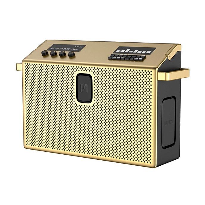 Беспроводная акустика Defunc Mondo BT Speaker Large Gold - рис.0