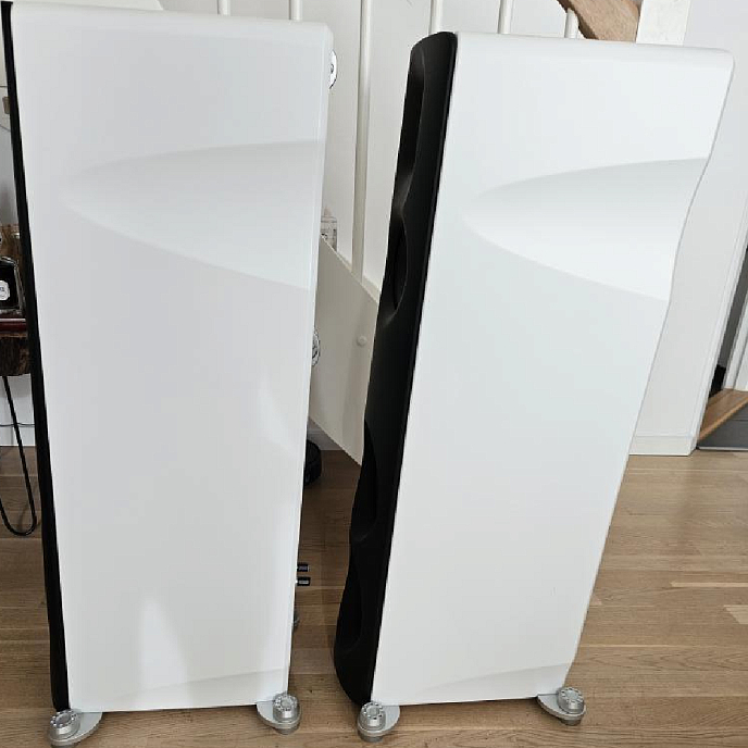 Напольная акустика Borresen Z3 White Matte - рис.3