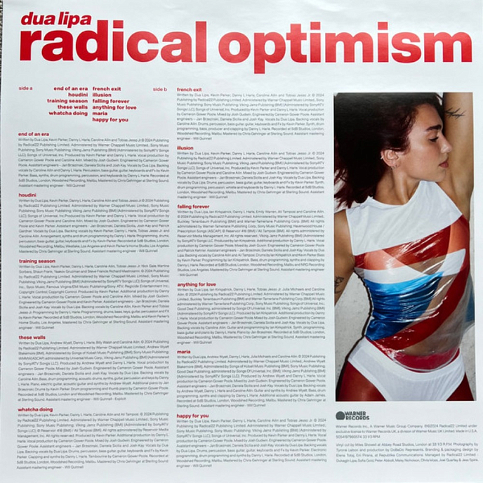 Виниловая пластинка Dua Lipa Radical Optimism (alternative artwork) (coloured) LP - рис.7