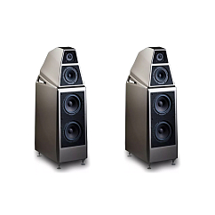 Напольная акустика Wilson Audio Sasha DAW Galaxy Gray