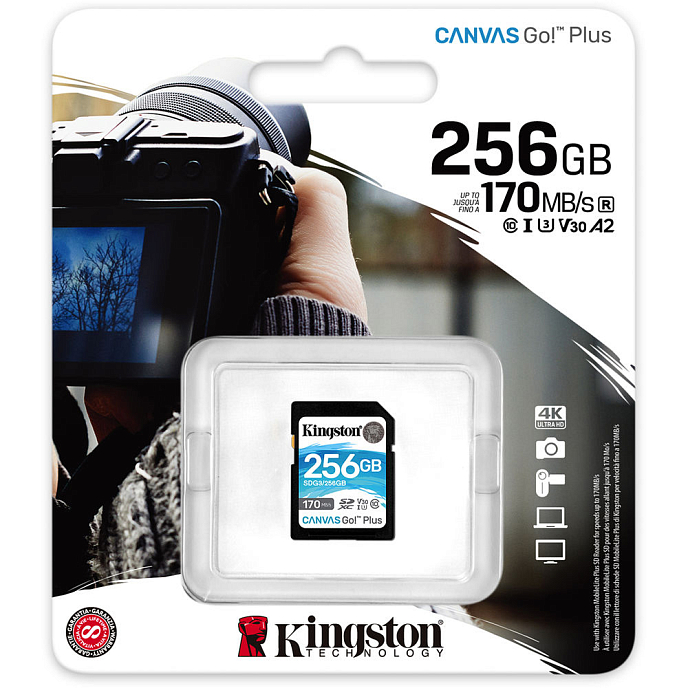 Карта памяти Kingston Canvas Go Plus SDG3 256Gb - рис.2