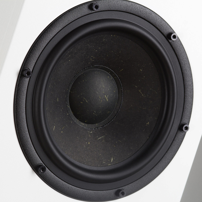 Напольная акустика Radiotehnika Gamma 3.02 White Ash - рис.6