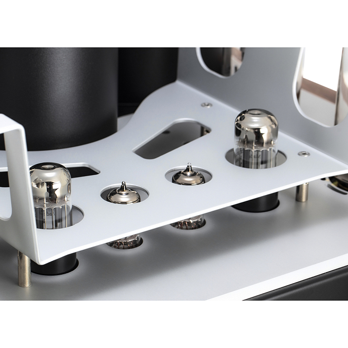 Интегральный усилитель Mastersound Evolution 845 Black Wood - рис.10