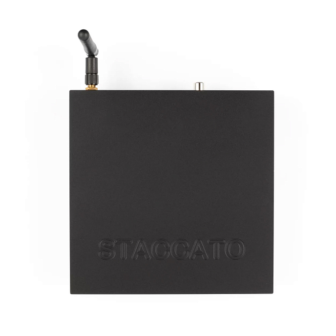 Сетевой аудиоплеер Earmen Staccato - рис.6