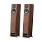 PMC Twenty5.23 Walnut
