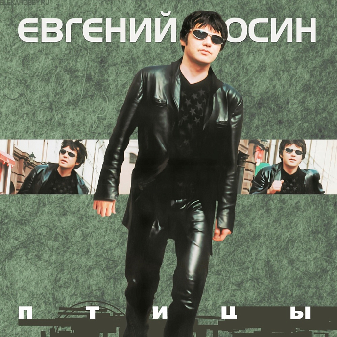 Пластинка Евгений Осин - Птицы - LP - рис.0