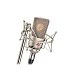 Микрофон студийный Neumann TLM 103 Studio Set nickel - рис.0