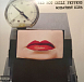 Виниловая пластинка Red Hot Chili Peppers - Greatest Hits 2LP - рис.0