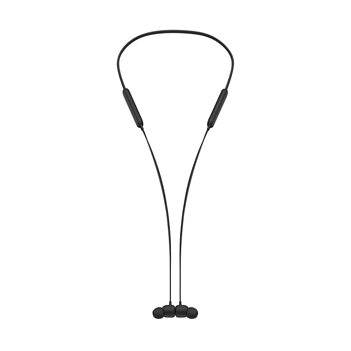 Беспроводные наушники Beats Flex All-Day Wireless Black - рис.1