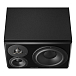 Студийный монитор Dynaudio LYD 48 Left Black - рис.2