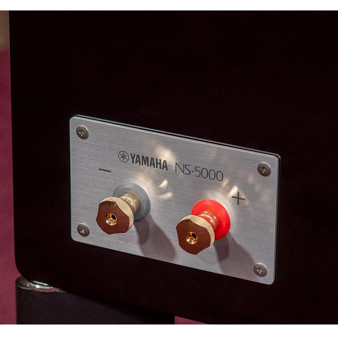 Полочная акустика Yamaha NS-5000 PN - рис.9