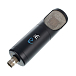Микрофон студийный SE Electronics RNT - рис.3