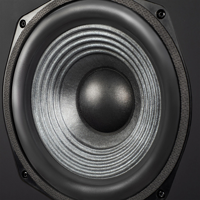 Полочная акустика Radiotehnika Sigma 1.01 Black Ash - рис.7